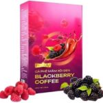 Blckberry Coffee Weight Loss Support 4 Box (60 packs) Cafe Mâm Xôi Giảm Cân.